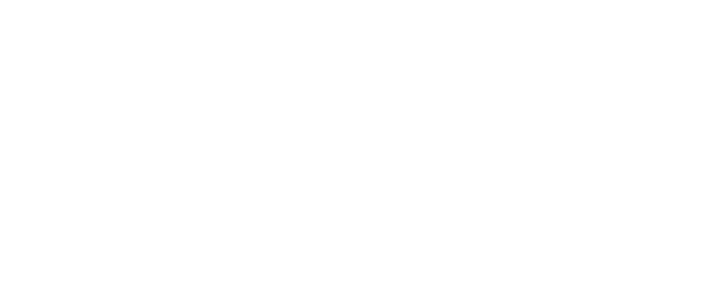 Logo Zellips Blanc
